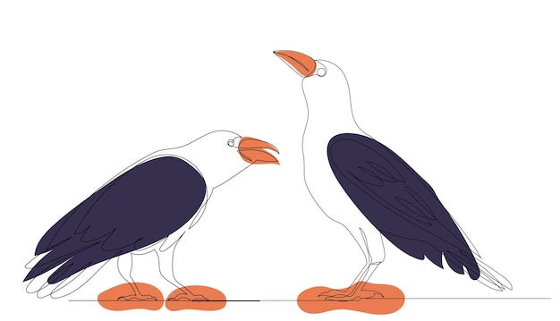 Birds crows continuous line drawing sketch vector