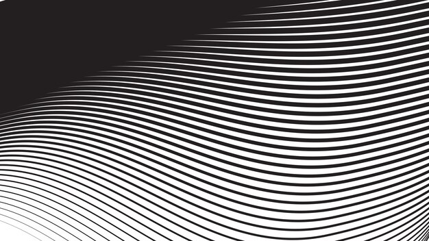 black abstract background with curve line for backdrop or presentation