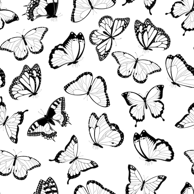 Black and white flying butterflies seamless pattern. Isolated on white background. .