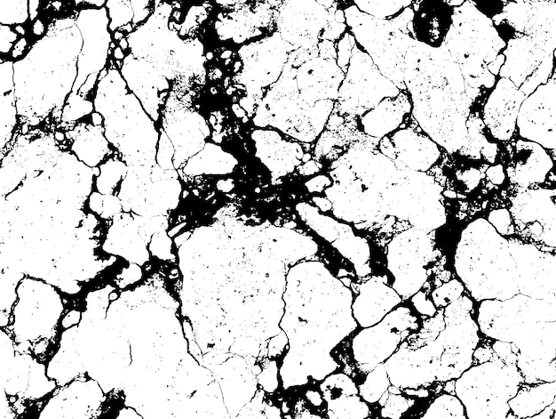 Black and white marble stone vector texture