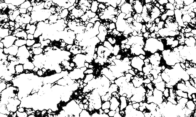 Black and white marble stone vector texture