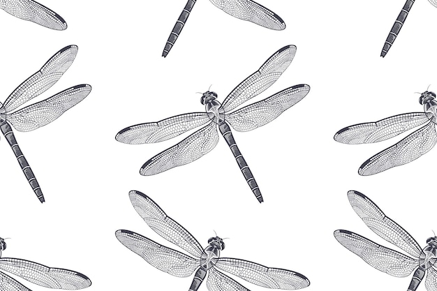 Black and white seamless pattern Dragonfly Vintage