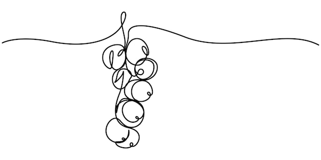 Black currant vector illustration One line art drawing with organic black currant Blackcurrant