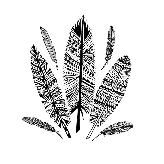 Black feathers with a pattern on a white background