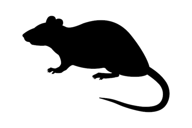 Black silhouette Rat Rattus norvegicus