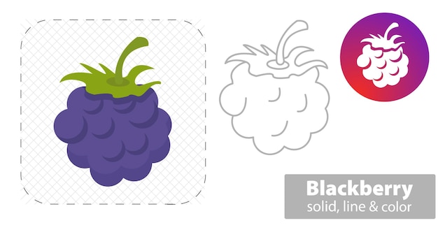 Blackberry isolated flat illustration blackberry line icon