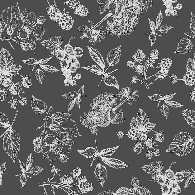 blackberry raspberry berries graphic hand drawn illustration