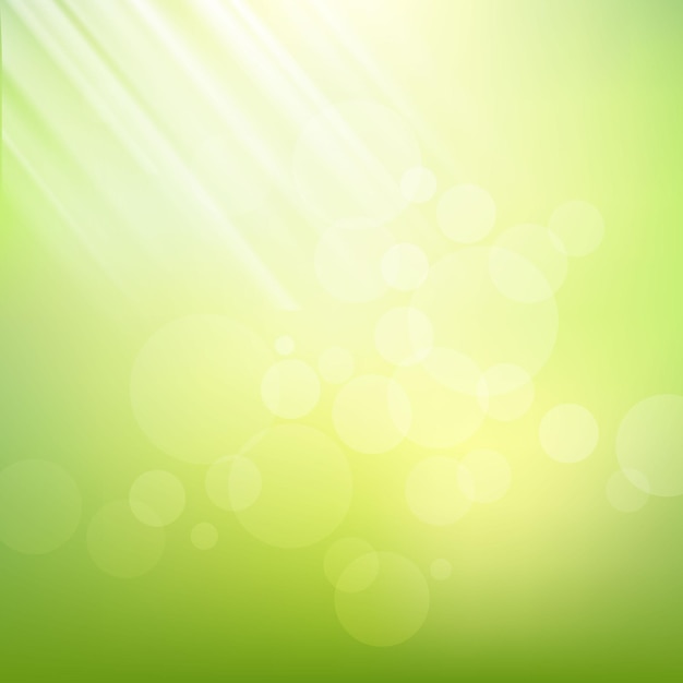 Bokeh Abstract Spring or Summer green Background