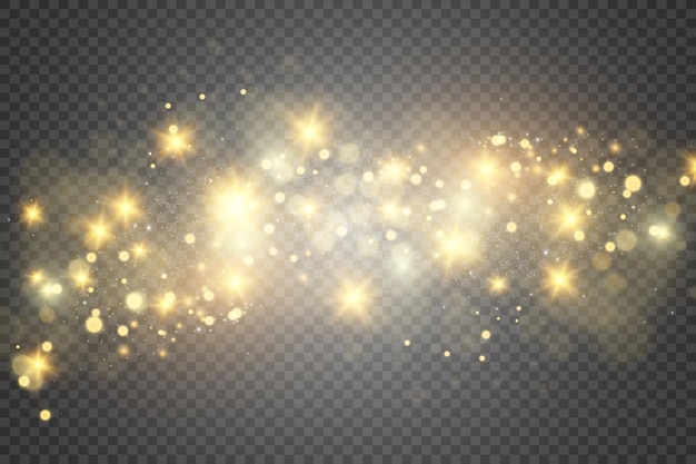 Brilliant gold dust vector shine Glittering shiny ornaments for background Vector illustration