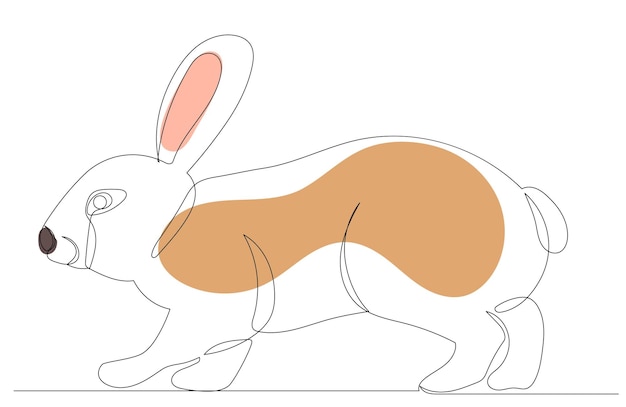 Bunny rabbit continuous line drawing vector