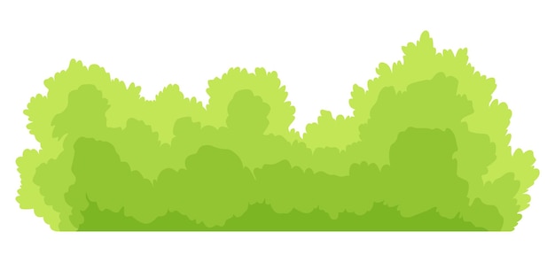 Bush icon cartoon forest or park shrubbery summer nature cartoon object isolated on white landscape