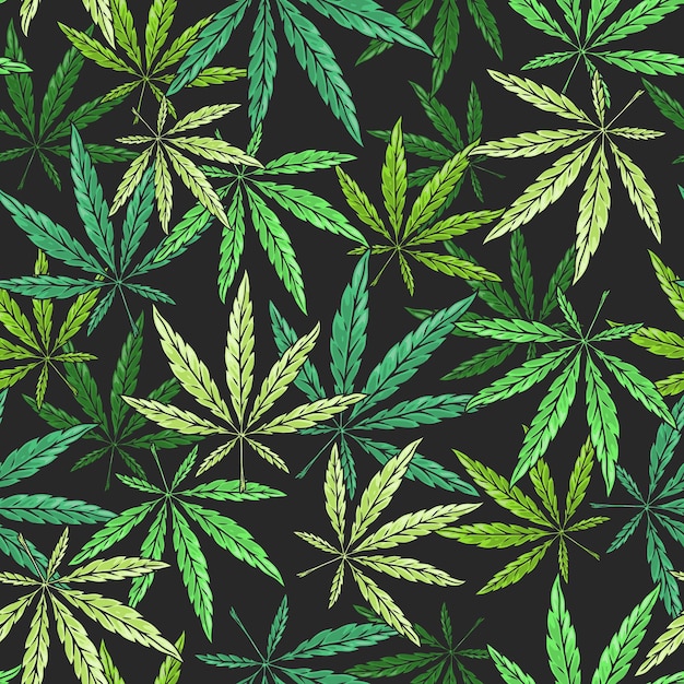 cannabis leaves pattern seamless colorful