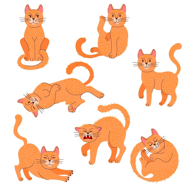 Cartoon Color Cat Icon Set with Lineart Elements Vector