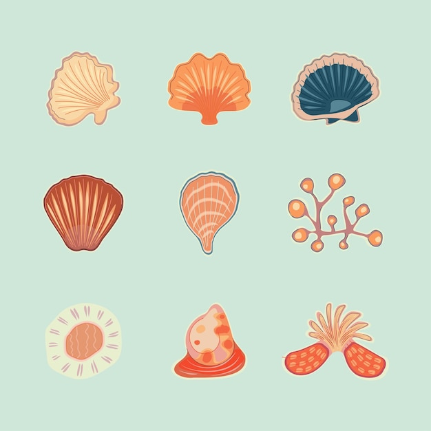 Cartoon Color Different Tropical Seashell Set Vector