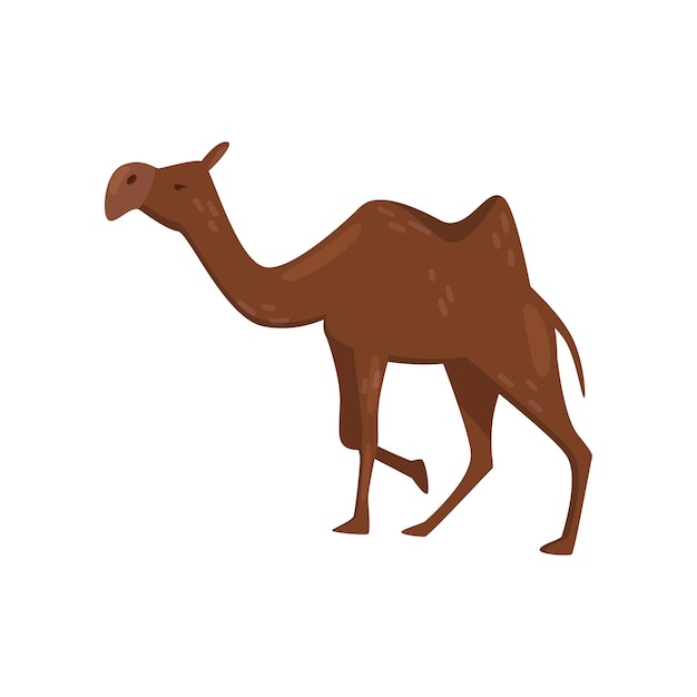 Cartoon illustration of brown camel side view Desert mammal animal with one hump on the back and short tail Graphic element for children book Colorful flat vector icon isolated on white background