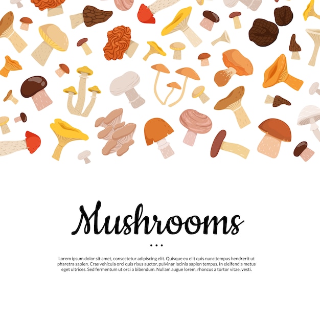 Cartoon mushrooms  with place for text 