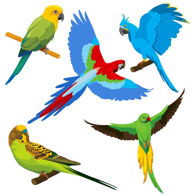 Vektör cartoon parrots