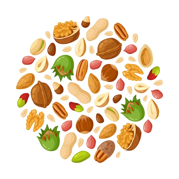Cartoon seeds and nuts. Almond, peanut, cashew, sunflower seeds, hazelnut and pistachio
