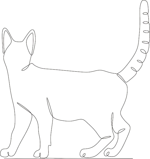 cat continuous line illustration