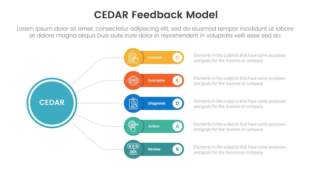 CEDAR feedback model infographic template banner with circle linked line with round rectangle box with 5 point list information for slide presentation