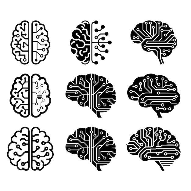 cercuit brain