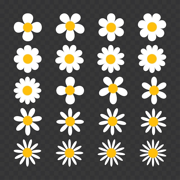 Chamomile daisy Vector collection of flower isolated icons
