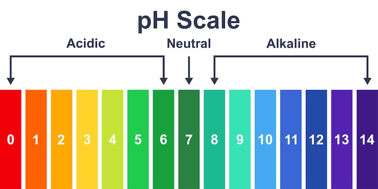 Vektör chart ph acidic, neutral and alkaline scale. ph value scale chart. indicator diagram.