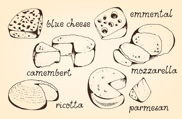 Cheese collection vector set isolated on vintage beige background