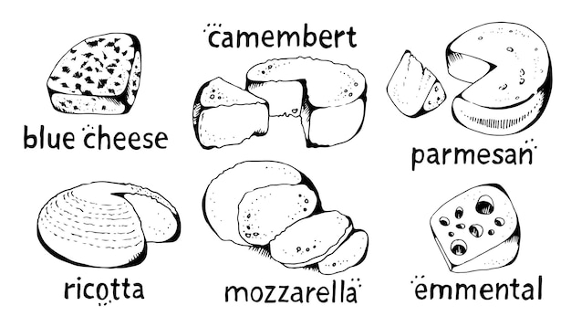 Cheese collection vector set