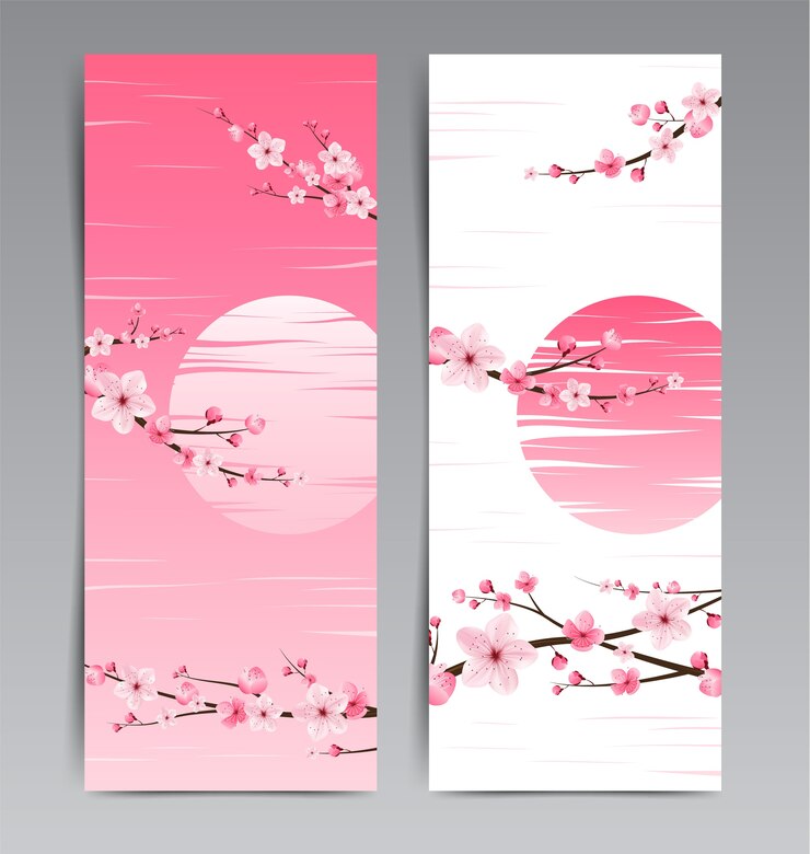 Vektör cherry blossom, sakura japan, template layout