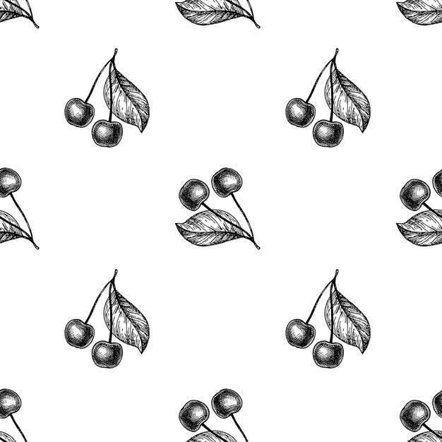 Cherry seamless pattern. Hand drawn illustration.
