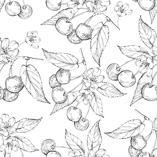 Cherry vector black and white seamless pattern hand drawn with ink