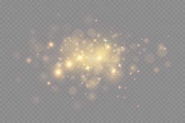 Christmas light effect Sparkling magical dust particlesThe dust sparks and golden stars shine