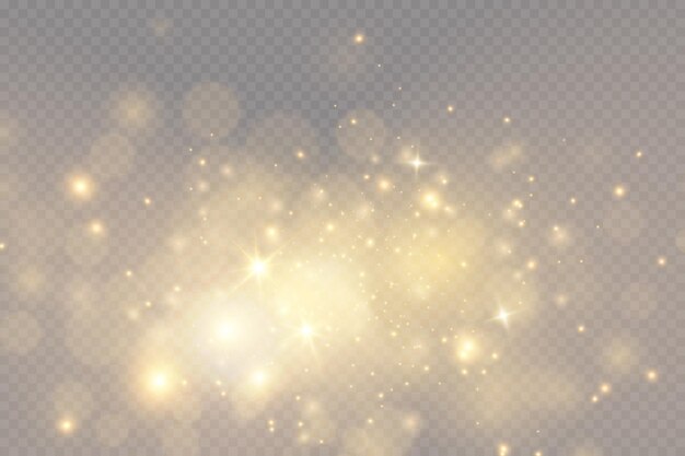 Christmas light effect Sparkling magical dust particlesThe dust sparks and golden stars shine