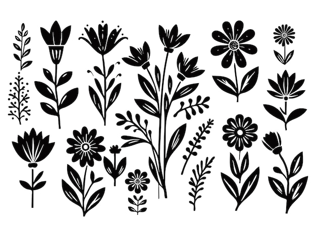 Çiçekler Yabani Çiçekler Eps iles Çiçekler Bahçe Çiçekleri Eps