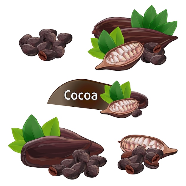 Cocoa pod in nutshell with leaves set