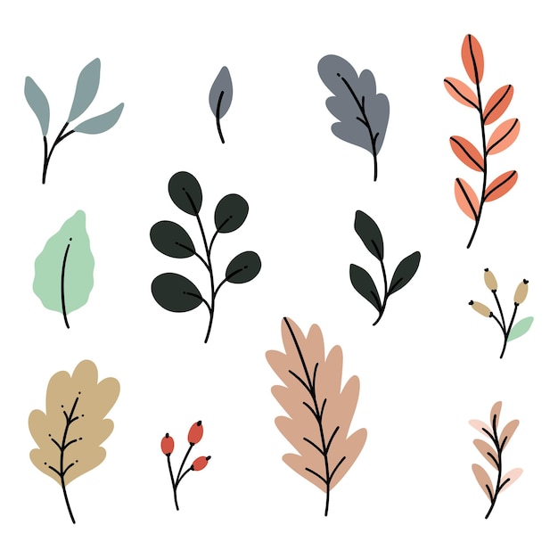 Collection of hand drawn fall foliage vector clip-art doodles.