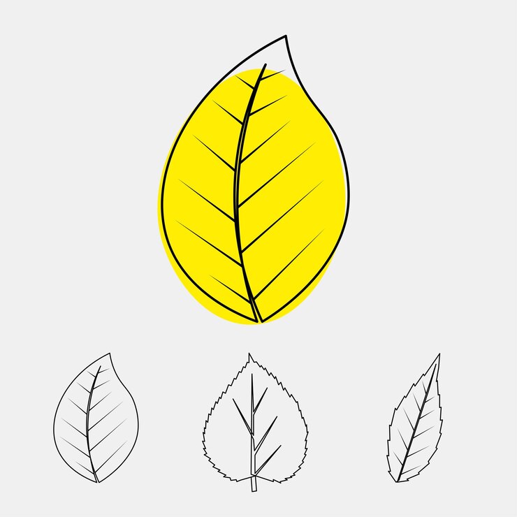 Vektör collection of hand drawn leaf illustrations