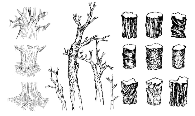 Collection of sketch tree twigs broken trunks vector set