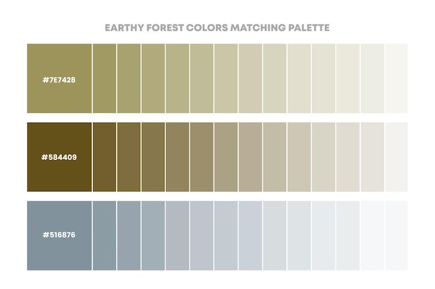 Color palette guide in Earthy color theme collections inspiration or color chart with codes