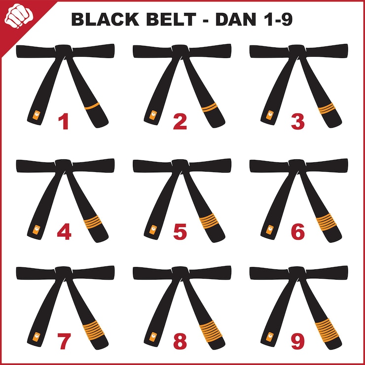 Vektör colored belts for martial arts kimono set dogi karatebjj judo taekwondo hapkido karate