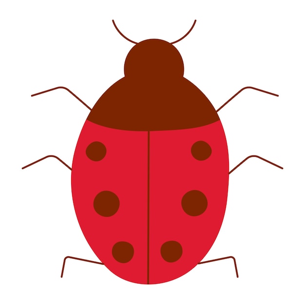 colored insect ladybug Icon element object