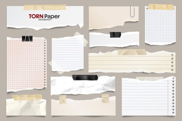 Colored ripped lined paper strips collection realistic paper scraps with torn edges sticky notes