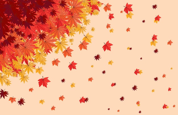 Colorful Autumn fall leaves floral background illustration with maple leaf