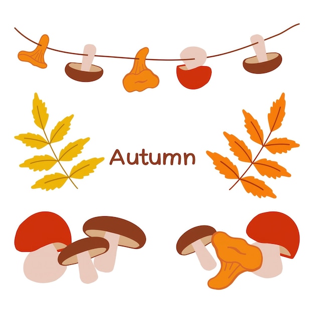 Colorful autumn mushrooms and leaves displayed on a string against a white background