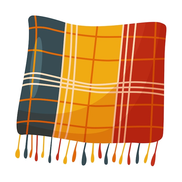 Colorful checkered blanket with fringe