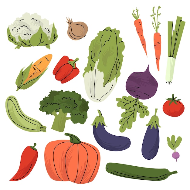 Colorful flat illustration of assorted vegetables including pumpkin broccoli eggplant carrots