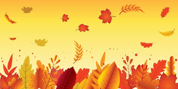 Colorful Leaves Vector Colorful Autumn leaves border decorated by Oak maple elm dry fallen leaf