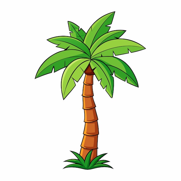 coloring palm tree vector