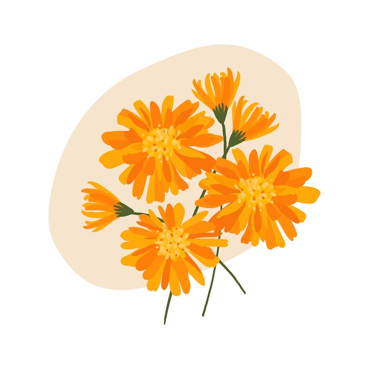 Vektör composition of blooming flowers poster with calendula vibrant vibrant flowers